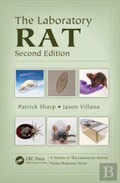 Laboratory Rat