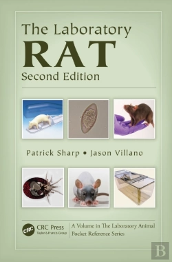 Bertrand.pt - Laboratory Rat