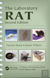 Laboratory Rat