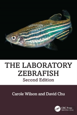 Bertrand.pt - Laboratory Zebrafish