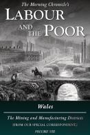 Labour And The Poor Volume Viii