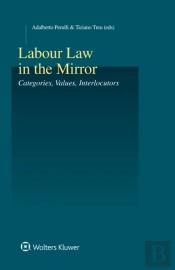 Labour Law In The Mirror