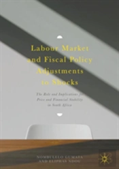 Labour Market And Fiscal Policy Adjustments To Shocks