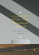 Labour Market And Fiscal Policy Adjustments To Shocks
