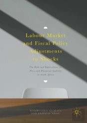Labour Market And Fiscal Policy Adjustments To Shocks