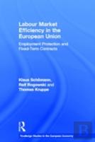 Labour Market Efficiency In The European Union