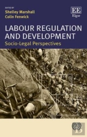 Labour Regulation And Development - Socio-Legal Perspectives