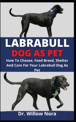 Bertrand.pt - Labrabull Dog As Pet