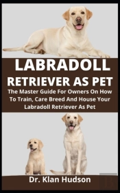 Labradoll Retriever As Pet