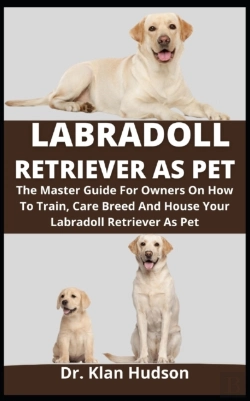 Bertrand.pt - Labradoll Retriever As Pet