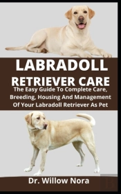 Labradoll Retriever Care