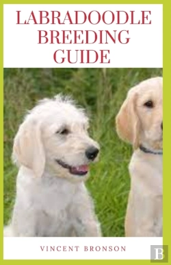 Bertrand.pt - Labradoodle Breeding Guide