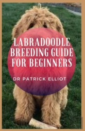 Labradoodle Breeding Guide For Beginners