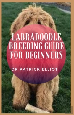 Bertrand.pt - Labradoodle Breeding Guide For Beginners
