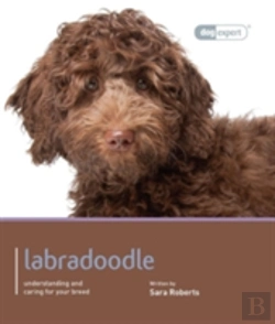 Bertrand.pt - Labradoodle - Dog Expert