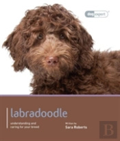Labradoodle - Dog Expert
