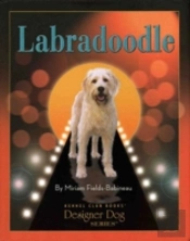 Labradoodle