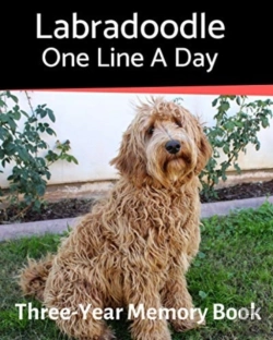 Bertrand.pt - Labradoodle - One Line A Day