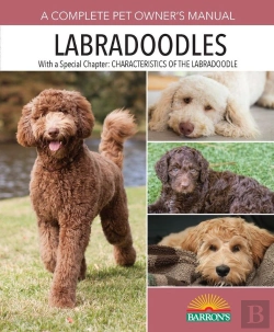 Bertrand.pt - Labradoodles