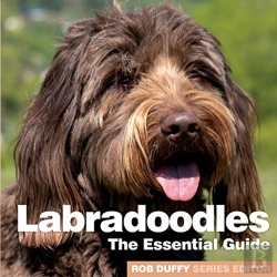 Bertrand.pt - Labradoodles