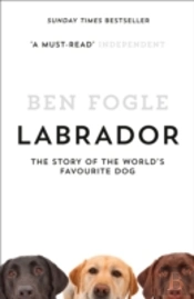 Labrador