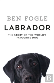 Labrador