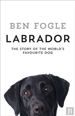Bertrand.pt - Labrador