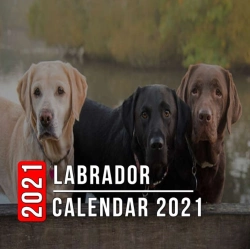 Bertrand.pt - Labrador Calendar 2021