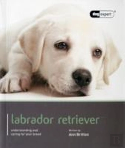 Bertrand.pt - Labrador - Dog Expert