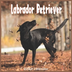 Bertrand.pt - Labrador Retriever 2022 Calendar
