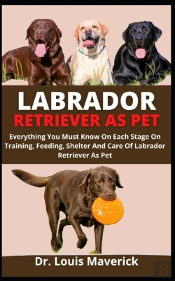 Bertrand.pt - Labrador Retriever As Pet