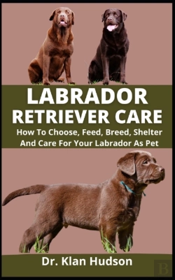 Bertrand.pt - Labrador Retriever Care