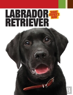 Bertrand.pt - Labrador Retriever
