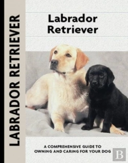 Bertrand.pt - Labrador Retriever