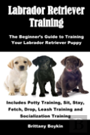 Labrador Retriever Training