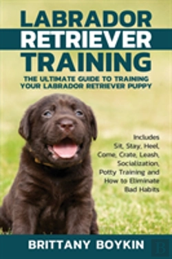 Bertrand.pt - Labrador Retriever Training