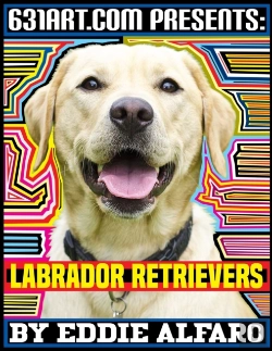 Bertrand.pt - Labrador Retrievers