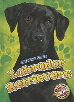 Bertrand.pt - Labrador Retrievers