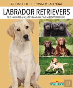 Bertrand.pt - Labrador Retrievers