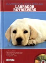 Labrador Retrievers
