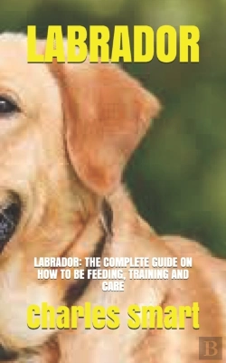 Bertrand.pt - Labrador