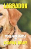 Labrador