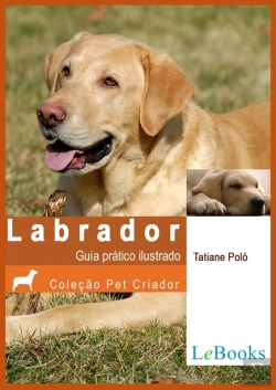 Bertrand.pt - Labrador