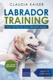 Labrador Training: Dog Training For Your