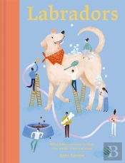 Labradors