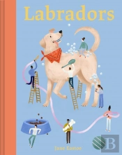 Labradors