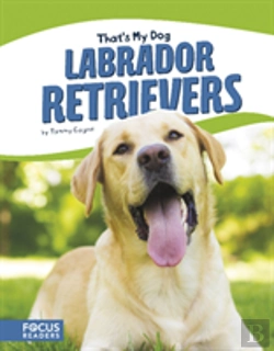Bertrand.pt - Labradour Retrievers