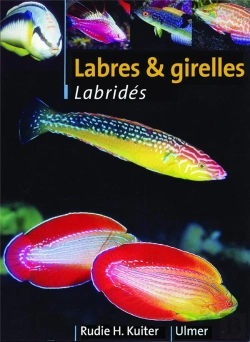 Bertrand.pt - Labres Et Girelles ; Guide Illustre Des Labrides