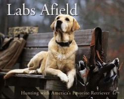 Bertrand.pt - Labs Afield