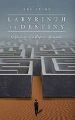 Labyrinth To Destiny